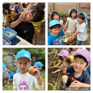 初夏の実り②