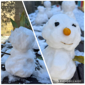 雪遊びをしました